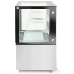 Best Hendi Arktic Koelvitrine met 2 schappen 300 Liter