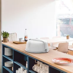 Sale Biesse Transportdoos Taart Ø30x10cm