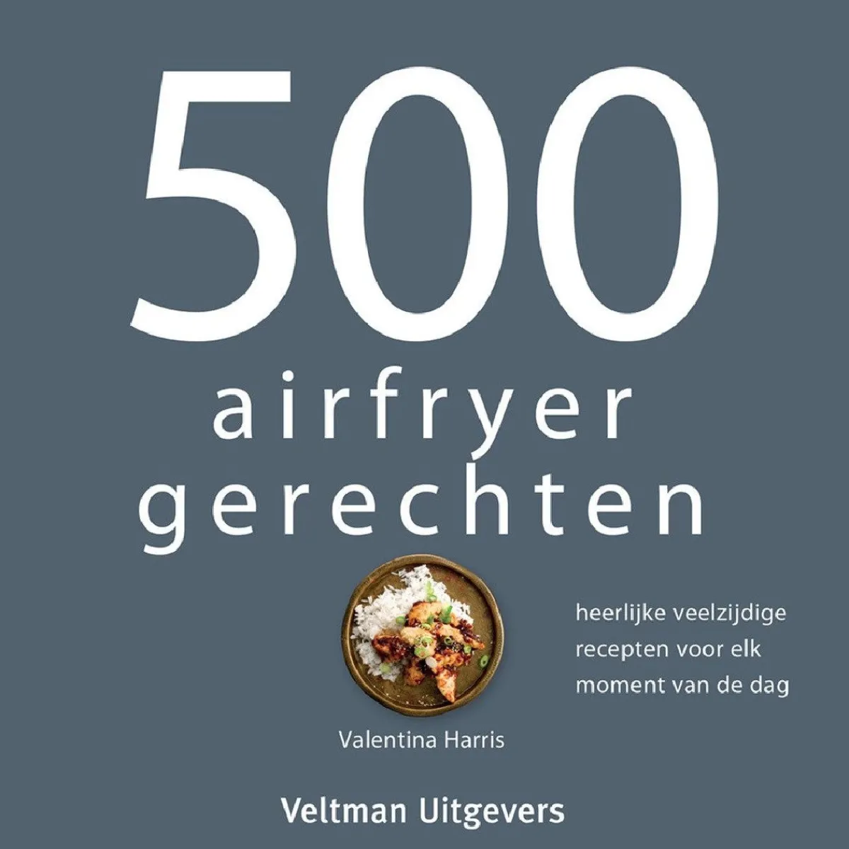Discount Boek: 500 Airfryer Gerechten