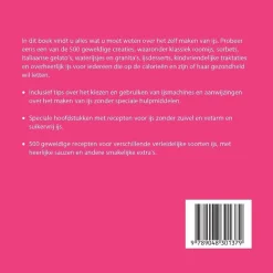 Clearance Boek: 500 IJsrecepten