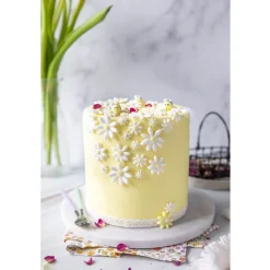 Hot Boek: Bakken met Fatima**