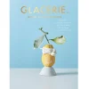 Hot Boek: Glacerie