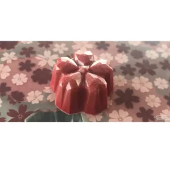 Chocolate World Bonbonvorm Sakura Origami (21x) 31x30x15mm