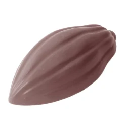 Chocolate World Bonbonvorm Cacaoboon (16x) 50x24x12mm