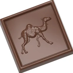 Clearance Chocolate World Bonbonvorm Karak Kameel (21x) 34x34x4,5mm**