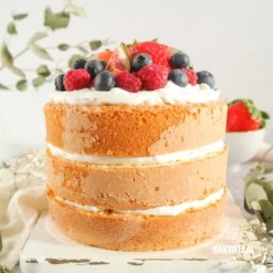 Best BrandNewCake Biscuit-mix Suikervrij & Lactosevrij 400g