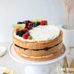 Best BrandNewCake Biscuit-mix Suikervrij & Lactosevrij 400g