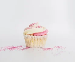 New BrandNewCake Cupcake-mix 10kg