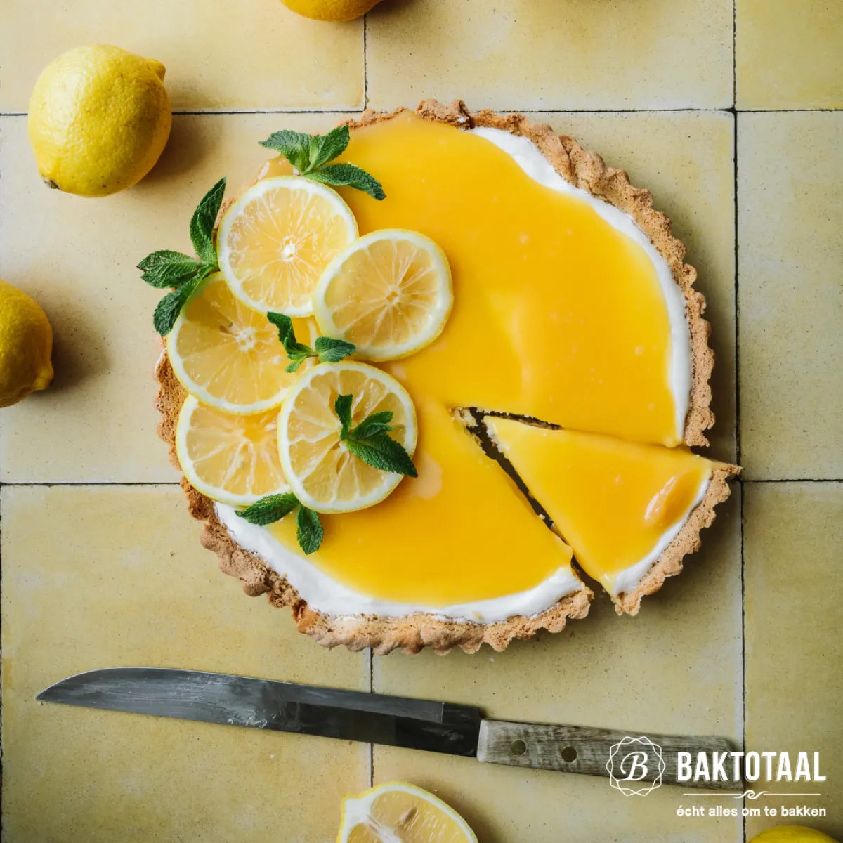 Hot BrandNewCake Taartbodem en Koekjes-mix 500g