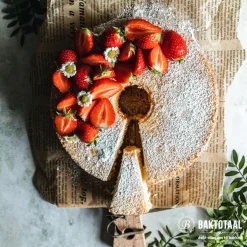 Online BrandNewCake Wijnsteen 80gr.