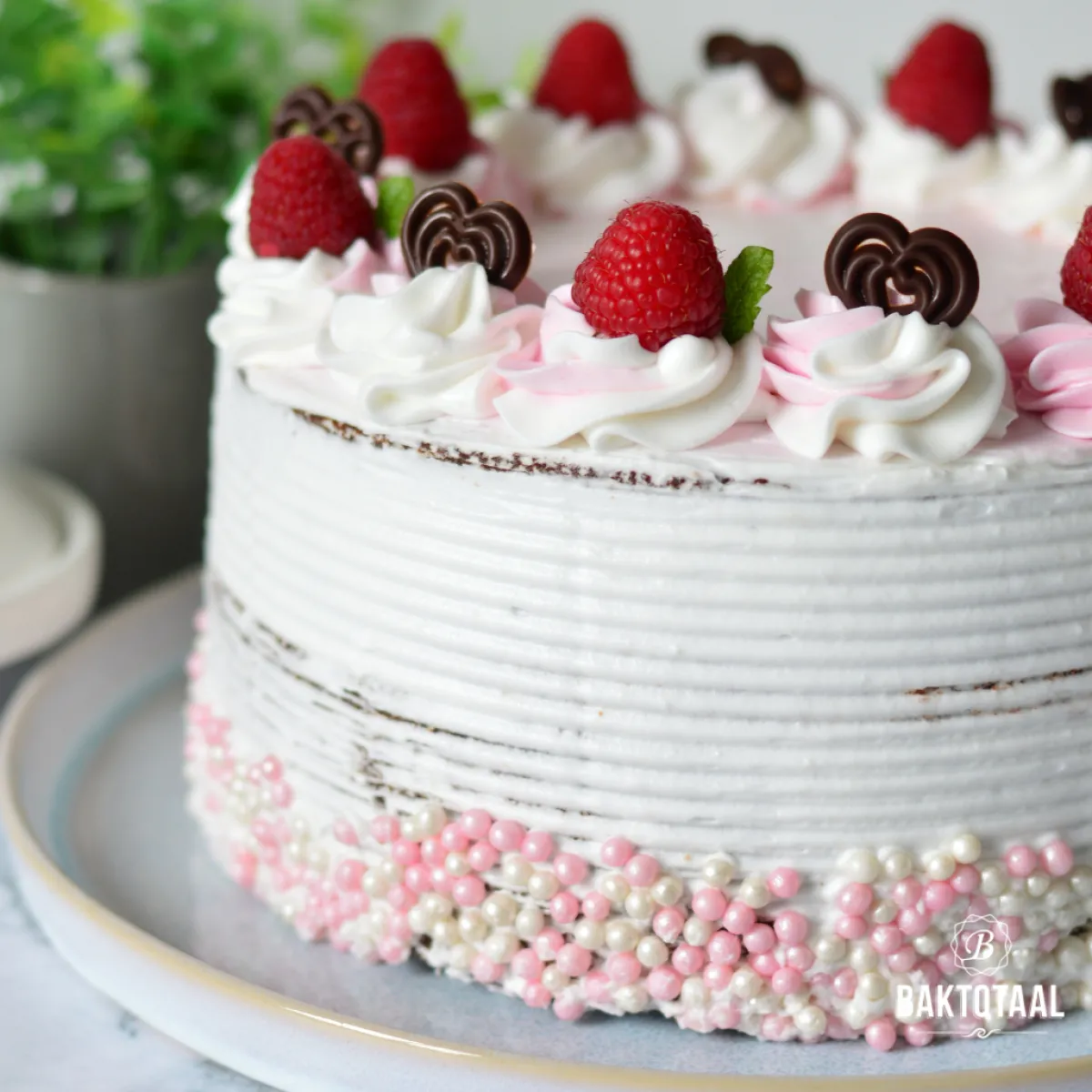 Hot BrandNewCake Zachte Parels Roze/Wit 60gr.