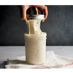 Best Overig Brod & Taylor Sourdough Home (Zuurdesem kast)