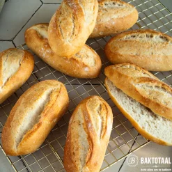 Outlet Overig Desh Stoombakje