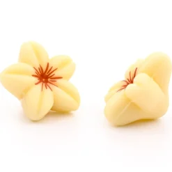 Hot Dobla Chocoladedecoratie Bloem Wit (80 stuks)