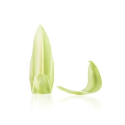 Best Dobla Chocoladedecoratie Blad Groen/Wit (260 stuks)