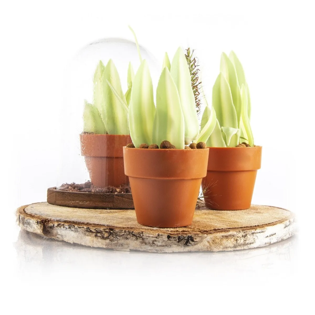 Best Dobla Chocoladedecoratie Blad Groen/Wit (260 stuks)