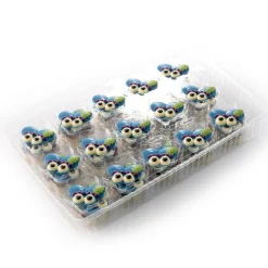 New Dobla Chocoladedecoratie Piet Baret Assortiment (90 stuks)