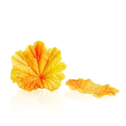 Discount Dobla Chocoladedecoratie Herfstblad Geel (24 stuks)