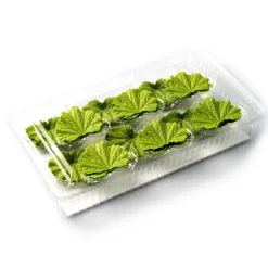 Discount Dobla Chocoladedecoratie Lenteblad Groen (24 stuks)