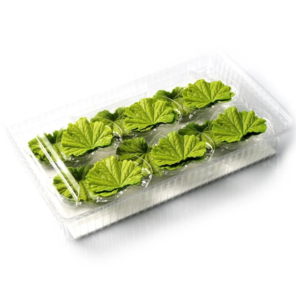 Discount Dobla Chocoladedecoratie Lenteblad Groen (24 stuks)