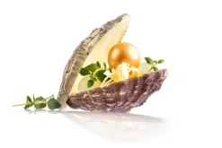 Sale Dobla Chocoladedecoratie Oester (12 stuks)