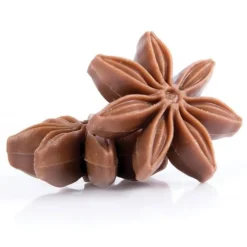 Online Dobla Chocoladedecoratie Steranijs (54 stuks)
