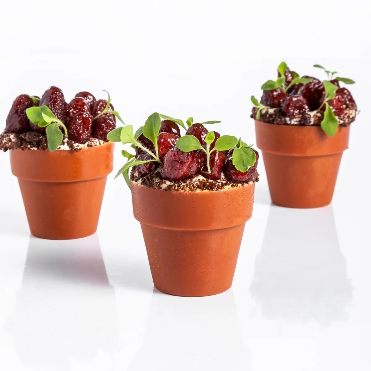 Online Dobla Chocoladedecoratie Bloempot Medium (66 stuks)