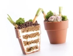 Discount Dobla Chocoladedecoratie Bloempot Mini (24 stuks)