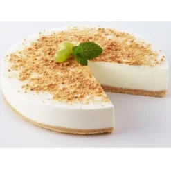 Hot Dr Oetker Professional Dr.Oetker Prof. Kwarktaart Naturel mix 1kg