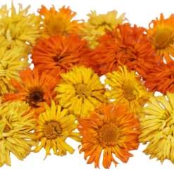 Hot Overig Eetbare Gedroogde Goudsbloemen (20 stuks)