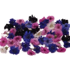 Outlet Overig Eetbare Gedroogde Korenbloemen (50 stuks)