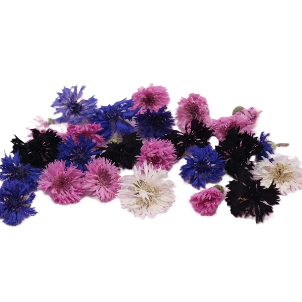 Outlet Overig Eetbare Gedroogde Korenbloemen (25 stuks)