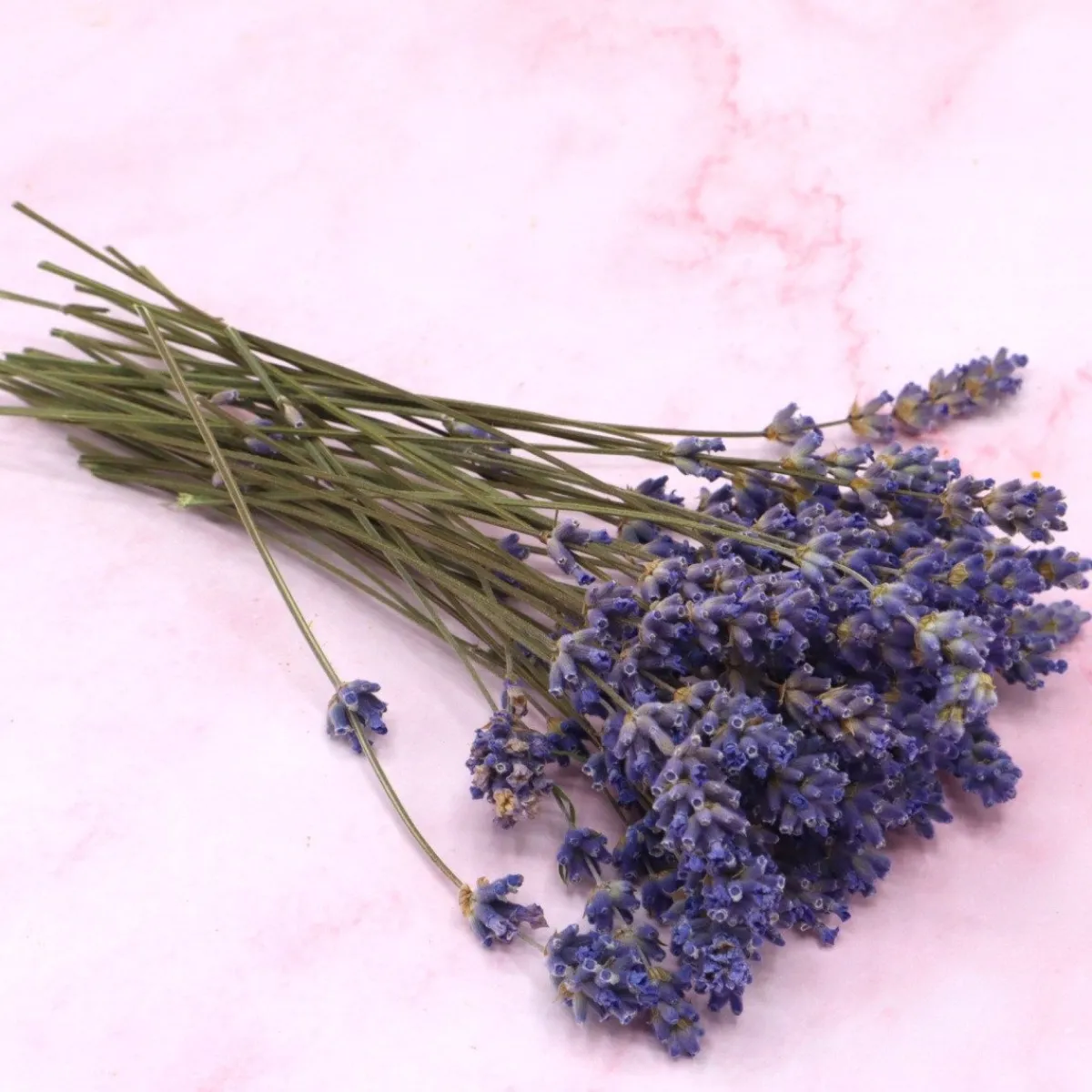 Hot Overig Eetbare Gedroogde Lavendeltakjes (40 stuks)