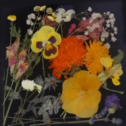 Outlet Overig Eetbare Geperste Bloementuin met Steel (15 stuks)