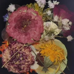 Outlet Overig Eetbare Geperste Bloementuin met Steel (15 stuks)