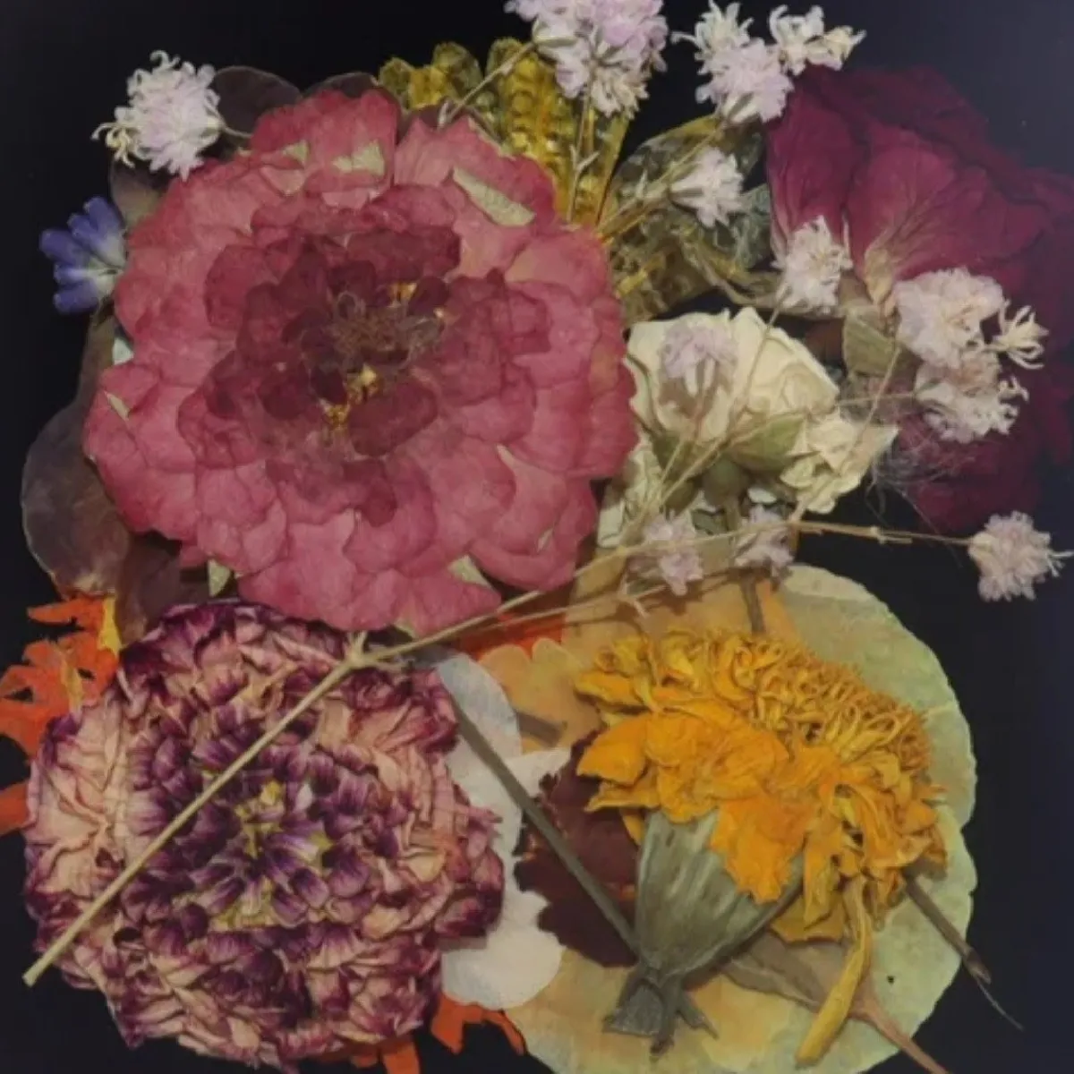 Outlet Overig Eetbare Geperste Bloementuin met Steel (15 stuks)