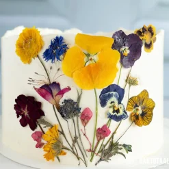 Outlet Overig Eetbare Geperste Bloementuin met Steel (15 stuks)