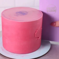 Outlet Frost Form Flexi Botercrème Plaat Rond 21,6cm Set/2