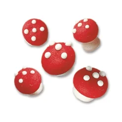 New Günthart Suikerdecoratie Paddenstoel Assortiment 100st.