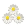 Online Günthart Suikerdecoratie Witte Bloemen 60st.