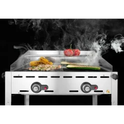 Sale Hendi Green Fire 2 branders incl. 2 RVS GN 1/1 roosters