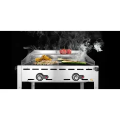 Sale Hendi Green Fire 2 branders incl. 2 RVS GN 1/1 roosters