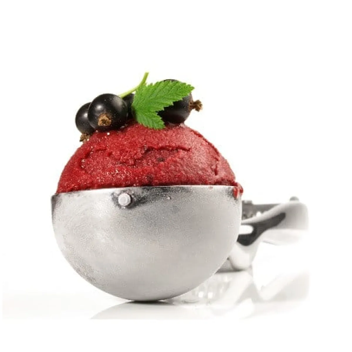 Online Hendi IJsschep RVS Ø53mm - 1/24