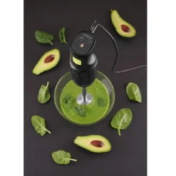 Best Hendi Staafmixer 250W