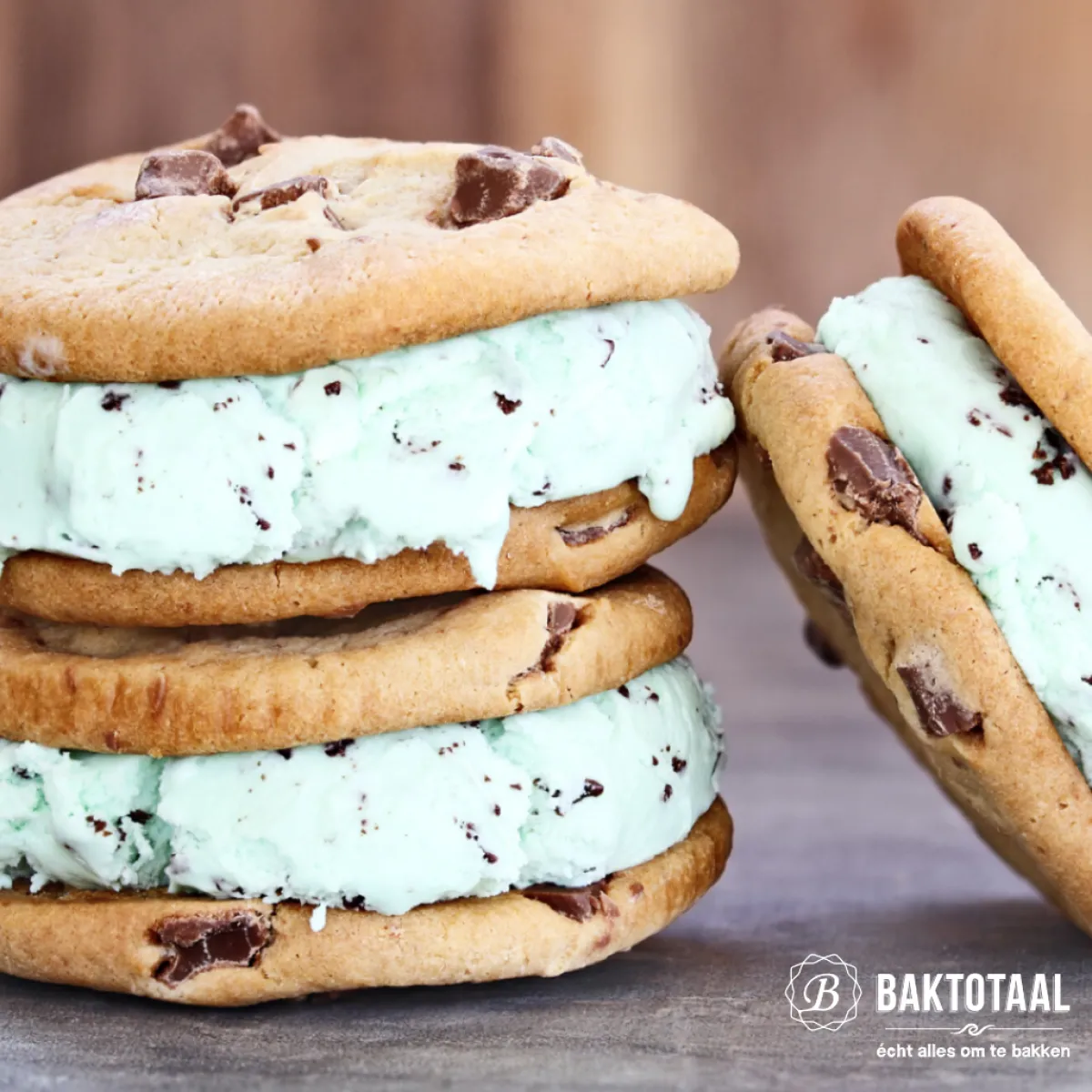 Overig IJsschep RVS Ø55mm