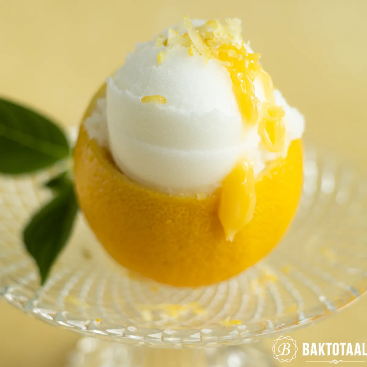 Overig IJsschep RVS Ø55mm