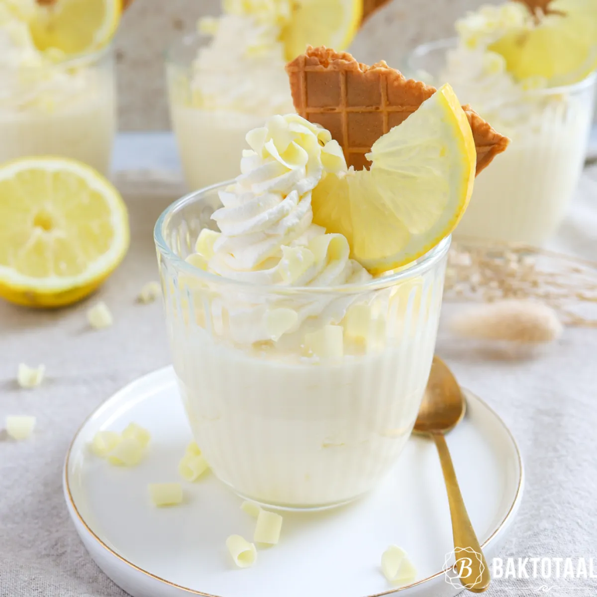 Outlet Overig IJswafel Dubbele Waaier 115x82mm 20st.