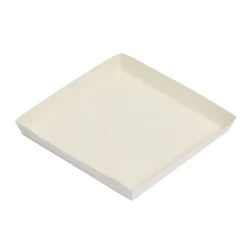 Overig Kartonnen Schaal Conisch 19x19x2,5cm 300st.**