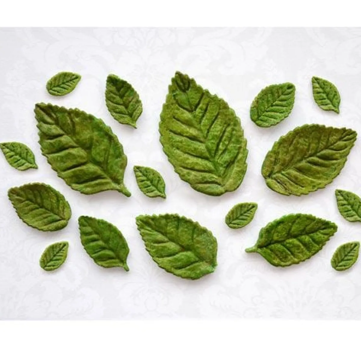 Katy Sue Mold Rozen Bladeren