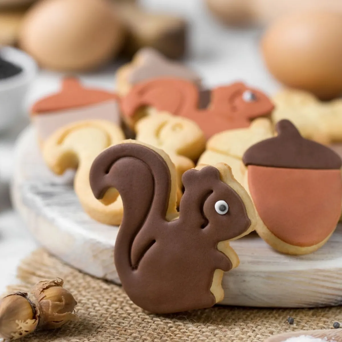 Online Decora Koekjes Uitstekerset Eekhoorn & Eikel